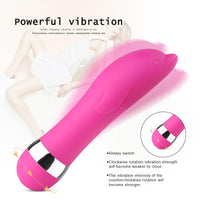 Realistic Dildo Bullet Vibrator
